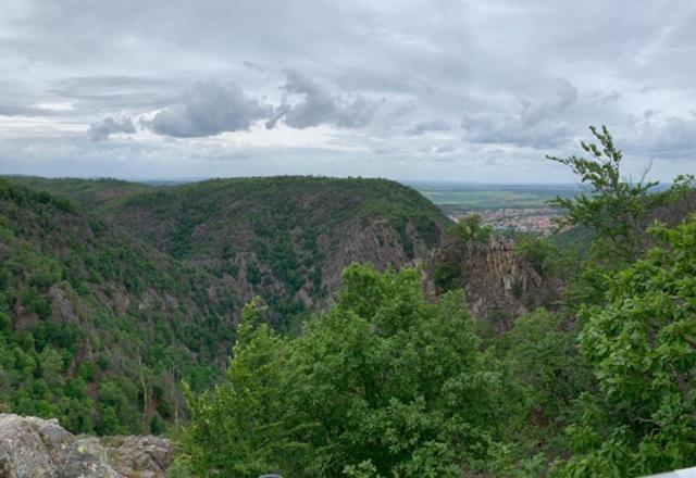Unser Ferienhaus Im Harz Thale Dış mekan fotoğraf
